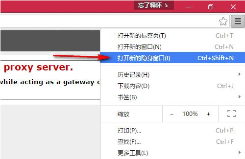 谷歌浏览器打不开网页提示Server Error 502 Bad Gateway怎么修复？2