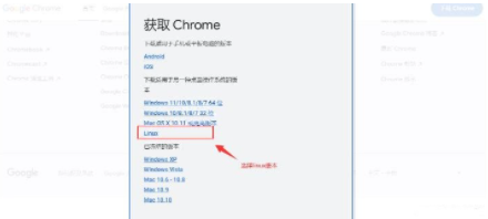 linux系统怎么安装谷歌浏览器4