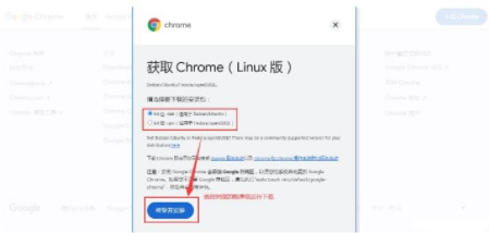 linux系统怎么安装谷歌浏览器5