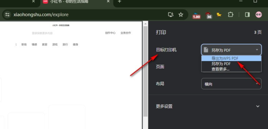 怎么把Google Chrome网页导出成pdf文件5